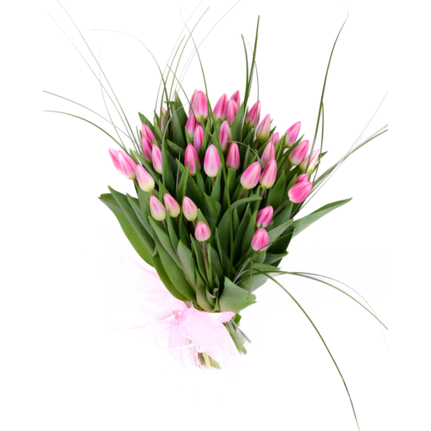 Bouquet of tulips Pink 